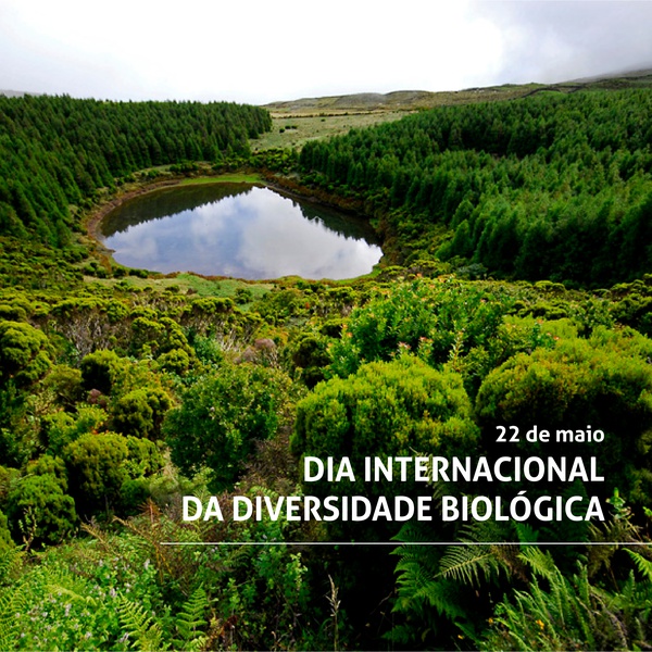 Dia Internacional da Diversidade Biológica