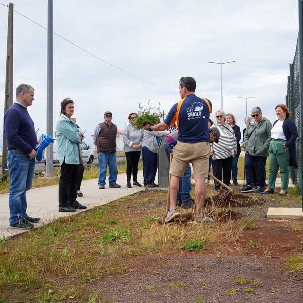 Jardins urbanos sustentáveis com espécies endémicas