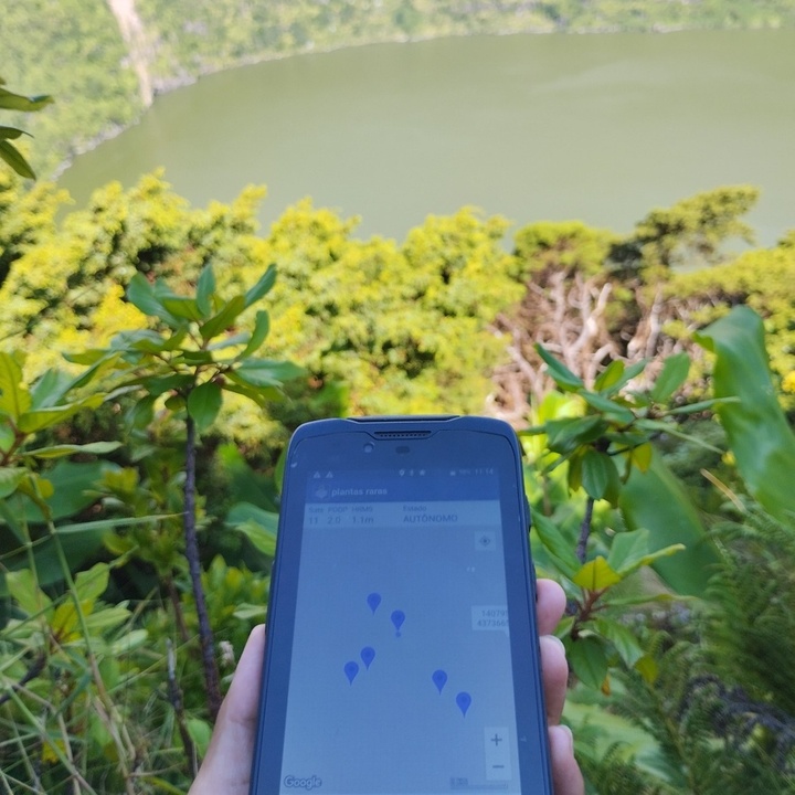 Seed collection and monitoring of endemic flora on Flores