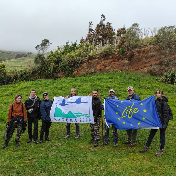 Four French students spent three weeks on Flores and Corvo in actions to remove invasive flora