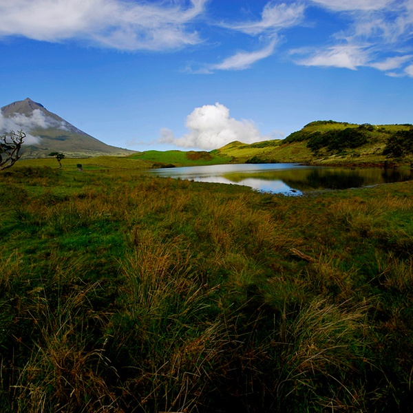 LIFE IP AZORES NATURA | TOP 5 – As 5 maiores Zonas Especiais de Conservação (ZEC) terrestres dos Açores