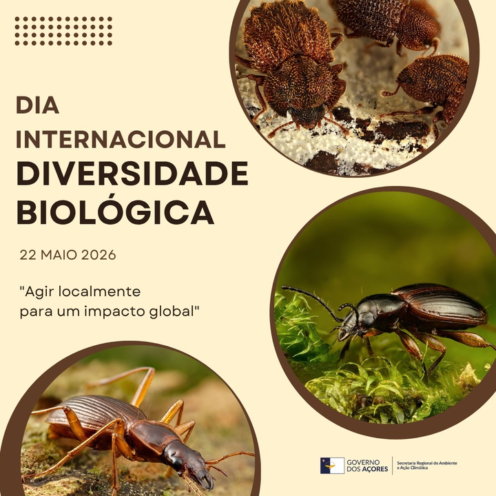 Dia Internacional da Diversidade Biológica
