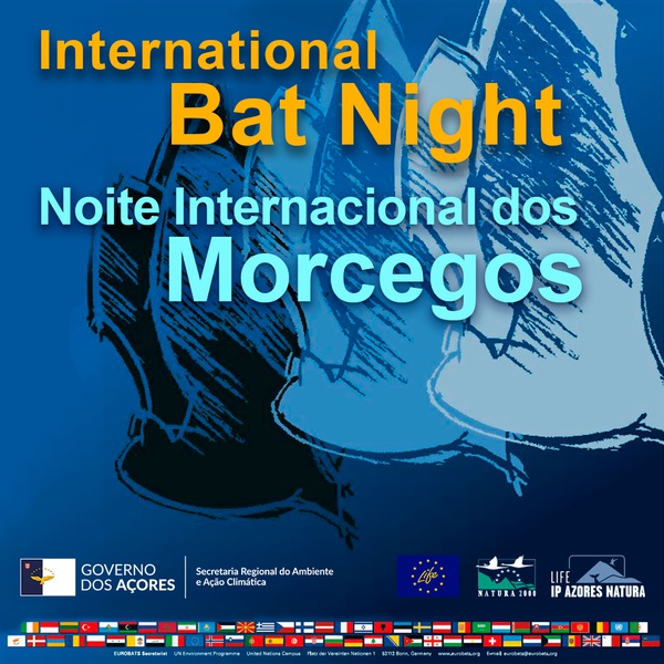 Noite Internacional dos Morcegos