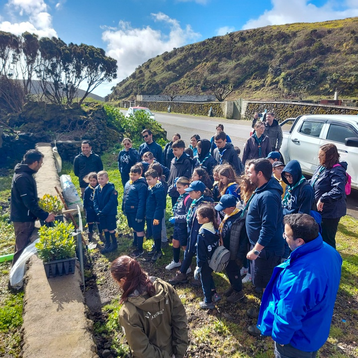 Atividade de voluntariado na ilha Terceira permite plantar 160 árvores nativas em antigo eucaliptal