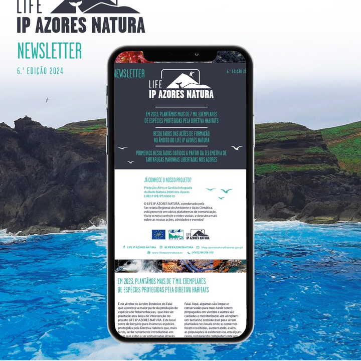 A nova edição da newsletter do LIFE IP AZORES NATURA já se encontra disponível!