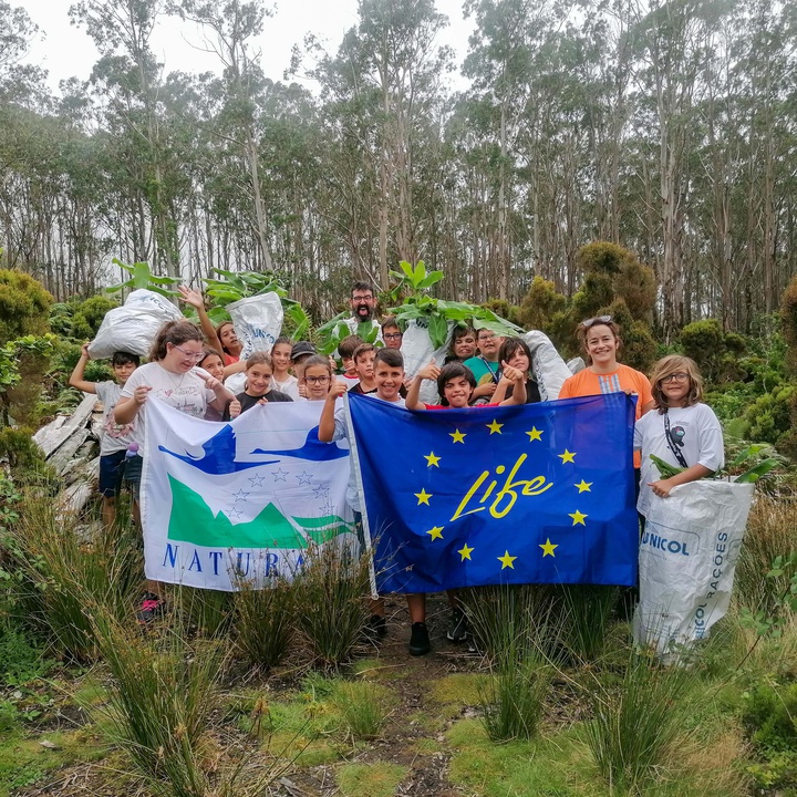 Voluntary work on Terceira island with the project LIFE BEETLES!