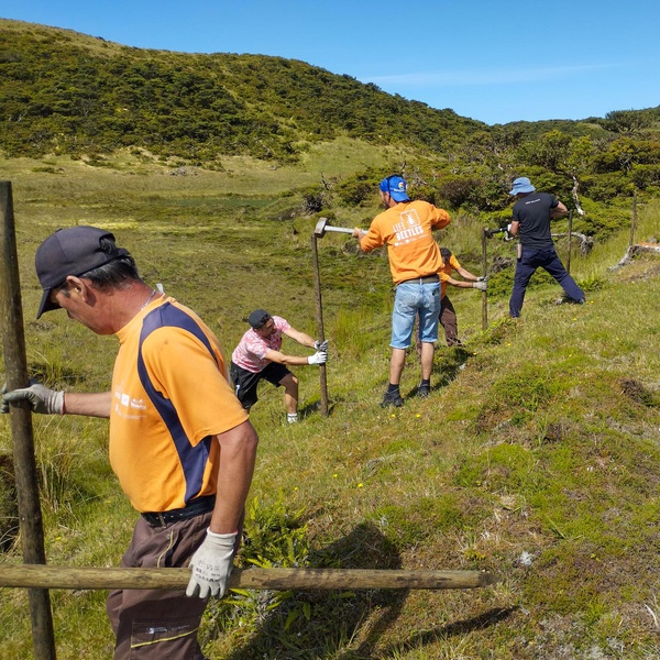 Continua a instalação de vedações na ilha do Pico