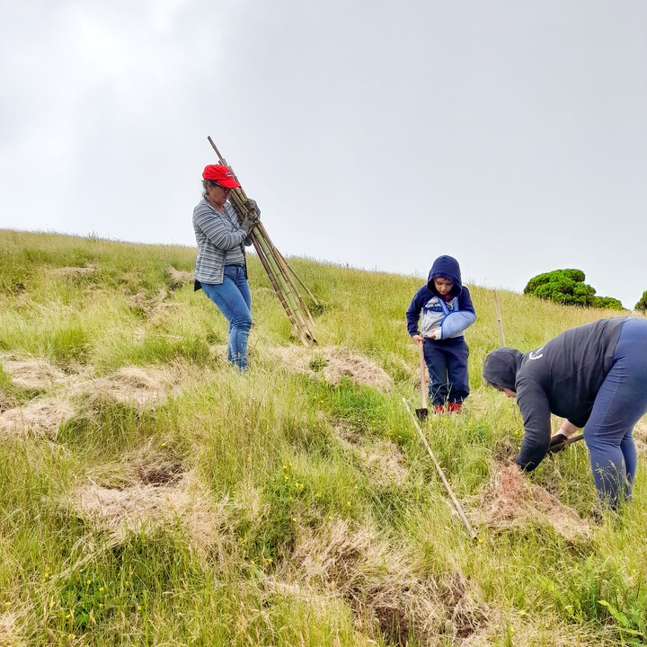 Involvement of local NGOs contributes to the renaturalization of Lagoa do Caiado