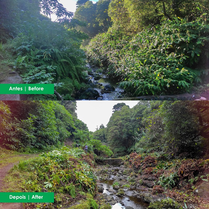 Trabalhos nas ribeiras das Lajes das Flores