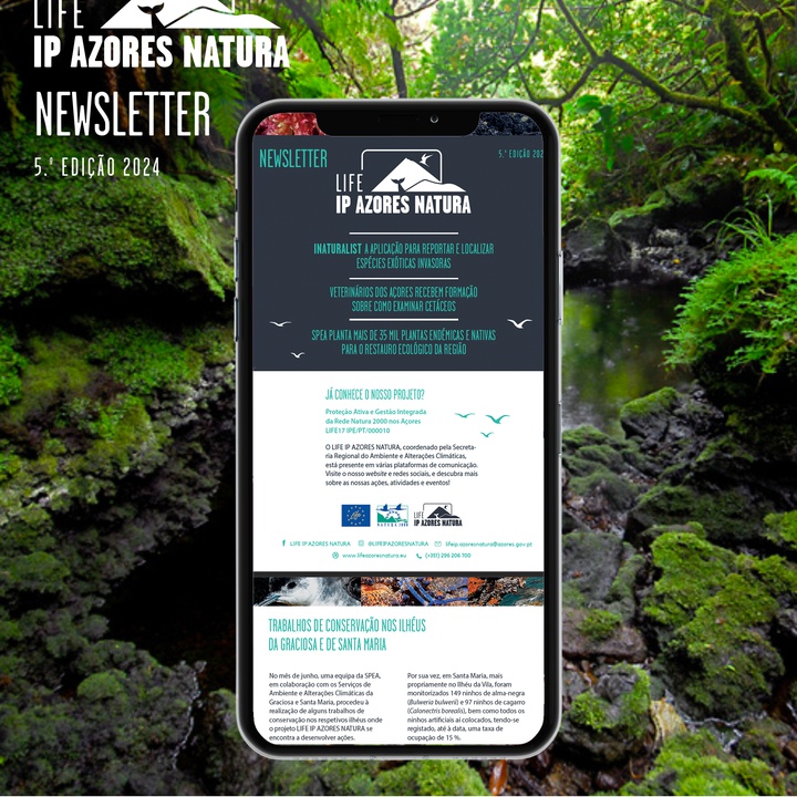 The new edition of the LIFE IP AZORES NATURA newsletter is available!