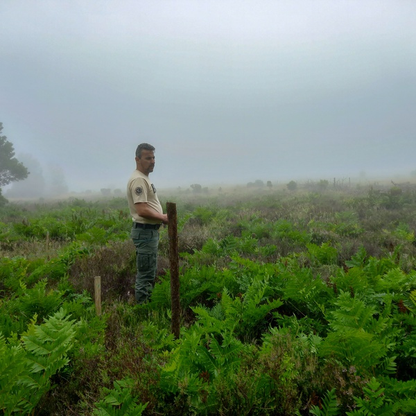 LIFE IP AZORES NATURA efetua monitorização de plantações na Lagoa do Fogo