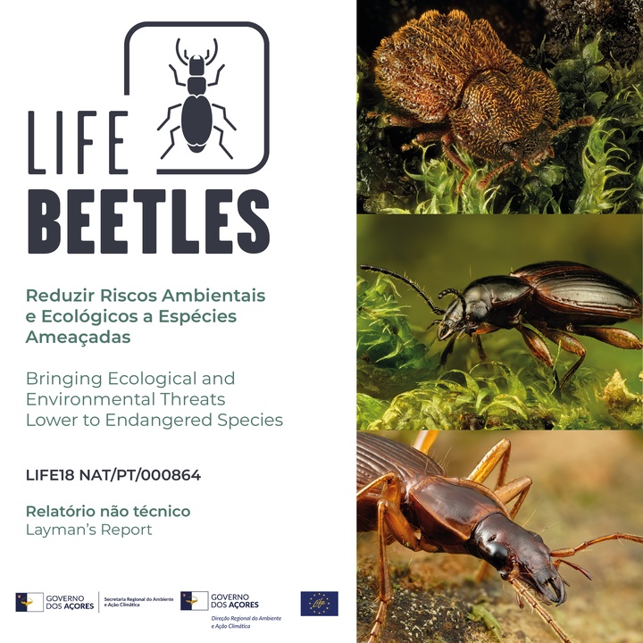 Have you seen the results of the LIFE BEETLES project yet?