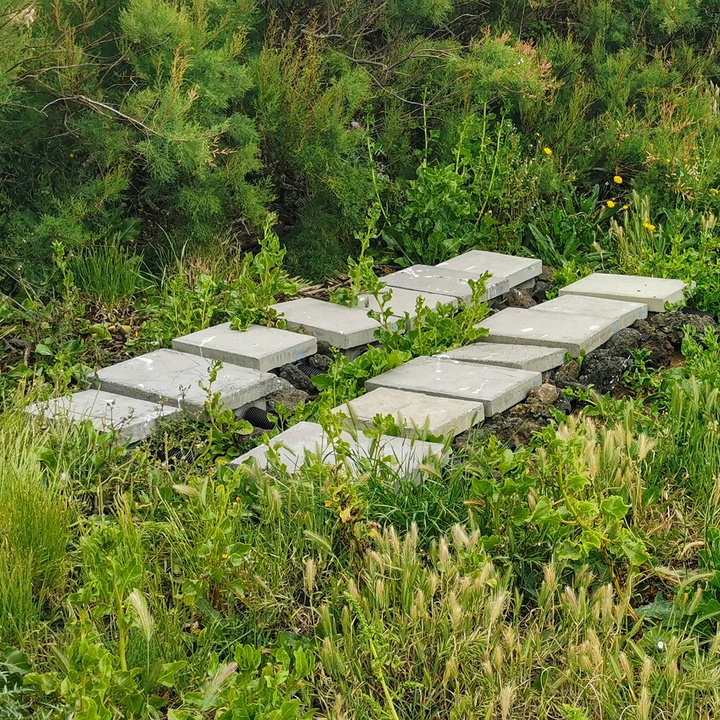 Monitoring of habitats and species on Terceira island