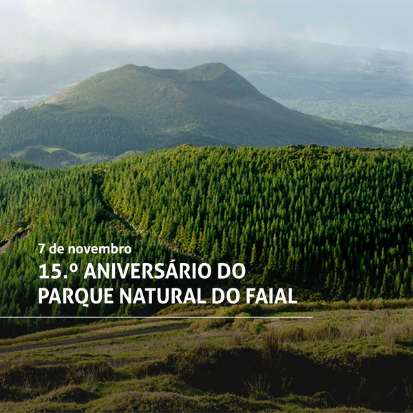 O Parque Natural do Faial celebra o seu 15.º aniversário!