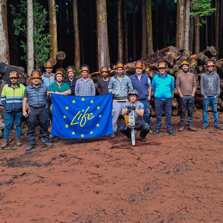 Direção Regional dos Recursos Florestais promove a ação de capacitação interna “Operação com Motosserras em Segurança”, na Terceira
