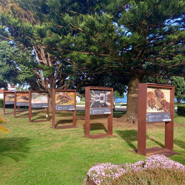 Exposição LIFE BEETLES: Pequenos em Grande já está em Santa Cruz