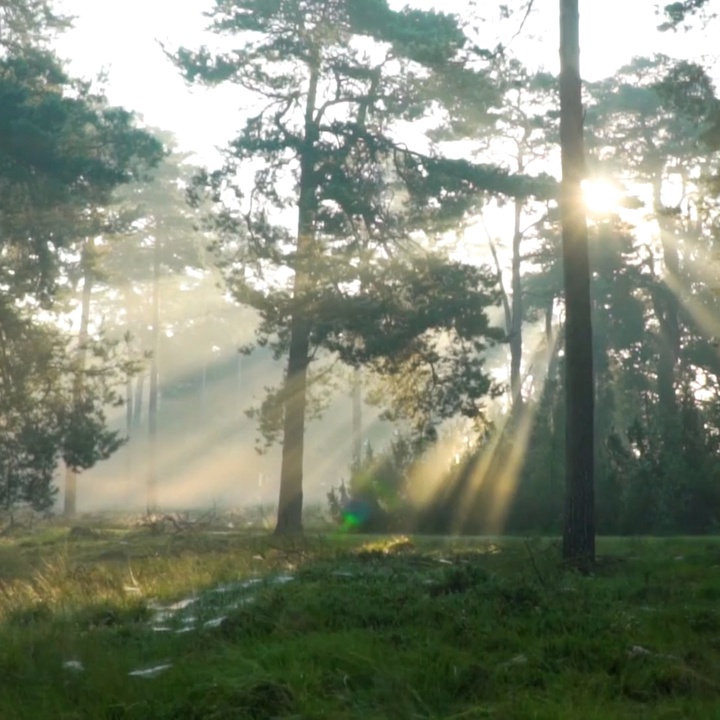 Applications for the Miosotis Azores Award are open again!