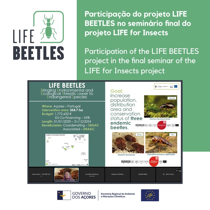 Participação do LIFE BEETLES no seminário final do projeto LIFE for Insects