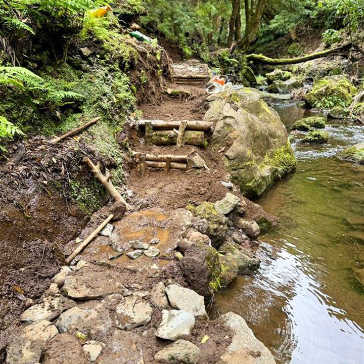 Soluções Baseadas na Natureza na Ribeira do Fundão