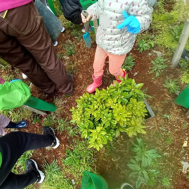 LIFE BEETLES recebe grupo de pequenos voluntários no Dia Mundial da Árvore!